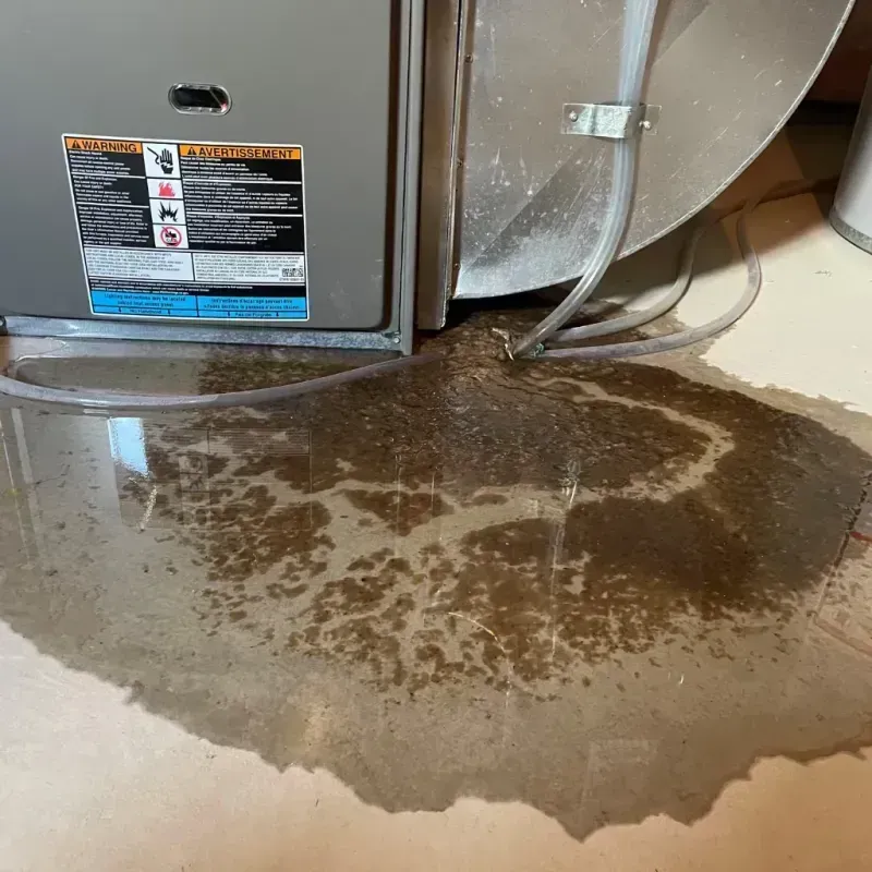 Appliance Leak Cleanup in Manchester, IA